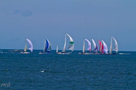 Enlarge photo 265