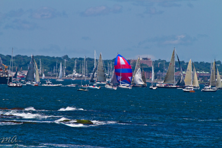 Enlarge photo 267