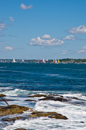 Enlarge photo 269