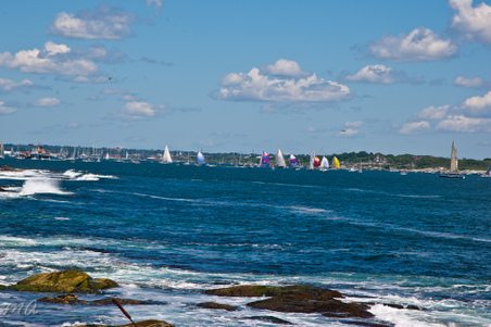 Enlarge photo 270