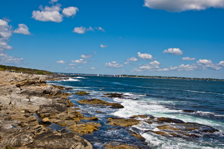 Enlarge photo 271