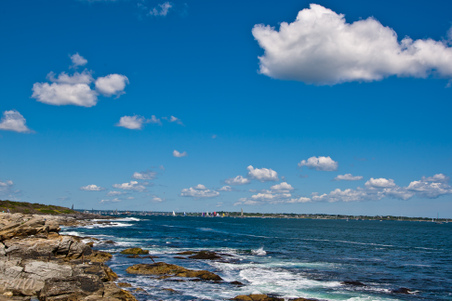 Enlarge photo 273