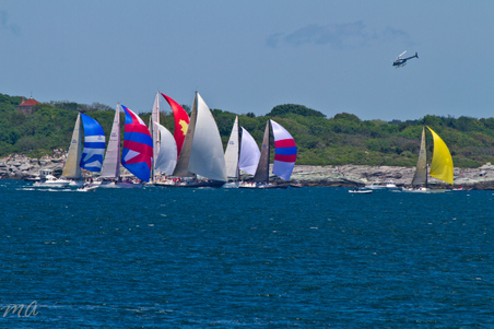 Enlarge photo 275