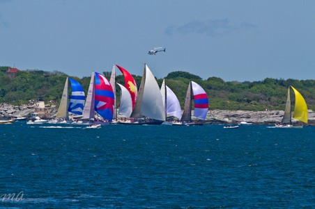 Enlarge photo 276