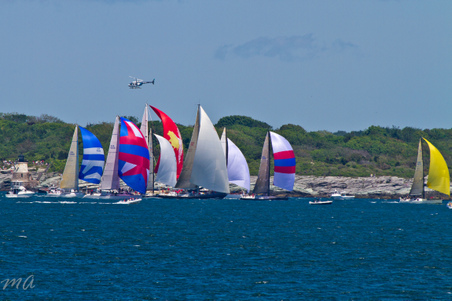 Enlarge photo 277