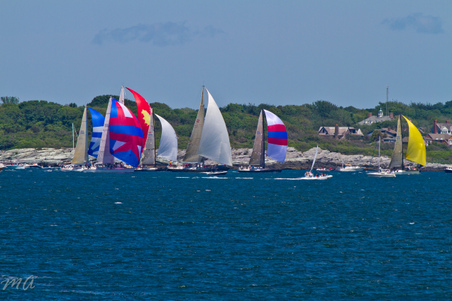 Enlarge photo 278