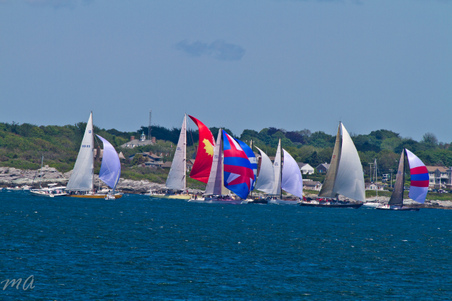 Enlarge photo 279