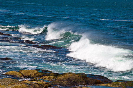 Enlarge photo 280