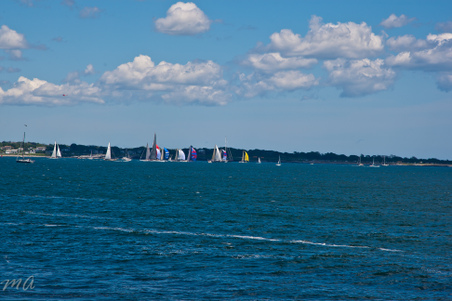 Enlarge photo 285