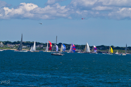 Enlarge photo 286