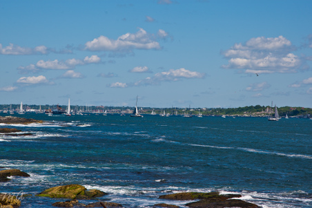 Enlarge photo 289