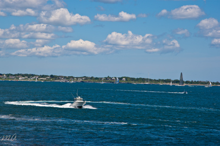 Enlarge photo 290