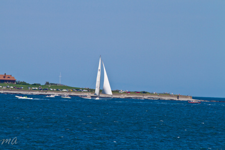 Enlarge photo 291