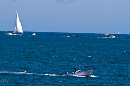 Enlarge photo 292