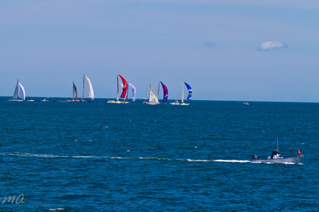 Enlarge photo 293
