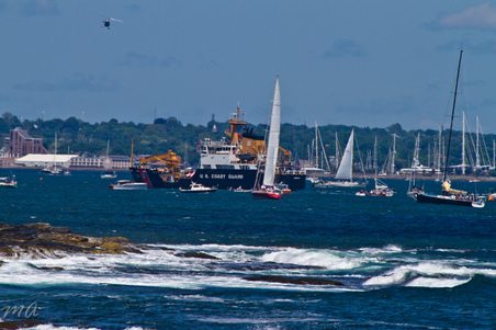 Enlarge photo 297