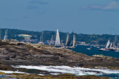 Enlarge photo 298