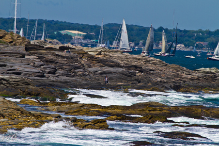 Enlarge photo 299