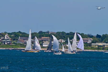 Enlarge photo 304