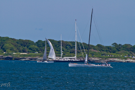 Enlarge photo 306
