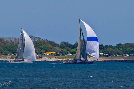 Enlarge photo 307