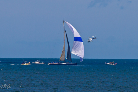 Enlarge photo 308