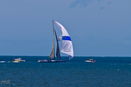 Enlarge photo 309