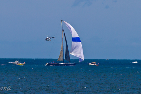 Enlarge photo 310
