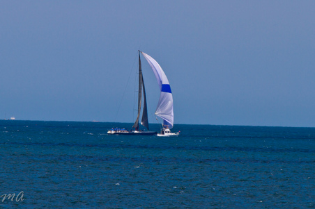 Enlarge photo 312