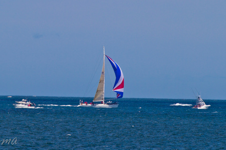 Enlarge photo 313