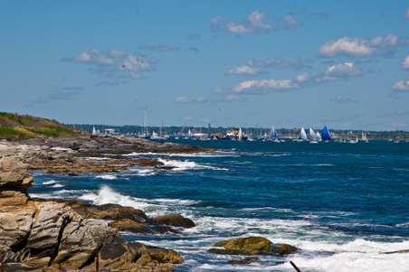 Enlarge photo 314