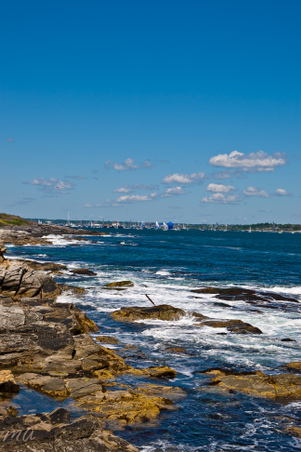 Enlarge photo 315