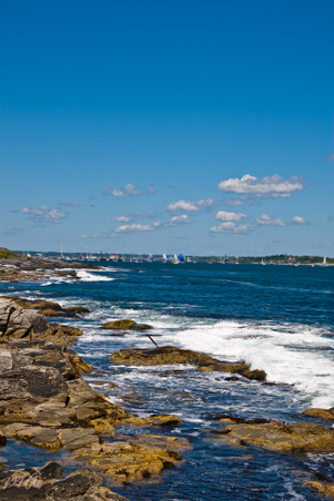 Enlarge photo 316