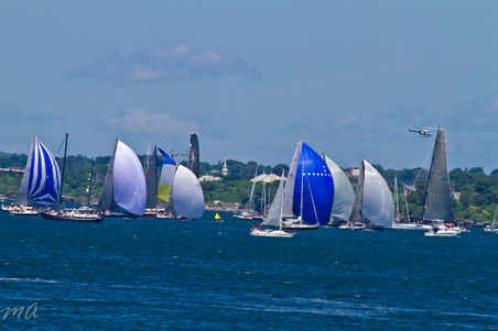 Enlarge photo 318