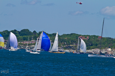 Enlarge photo 319