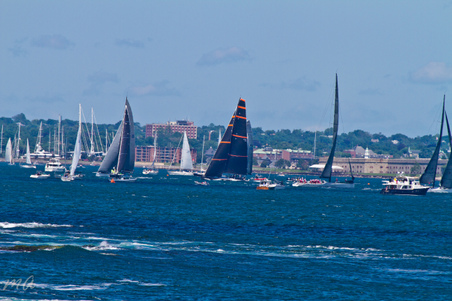 Enlarge photo 322