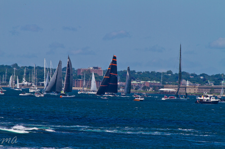 Enlarge photo 323