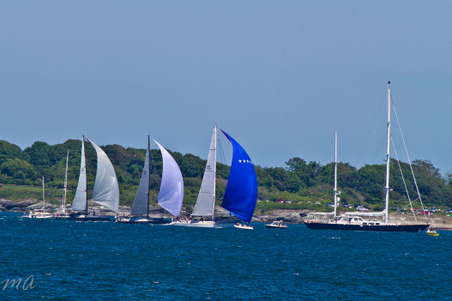 Enlarge photo 324