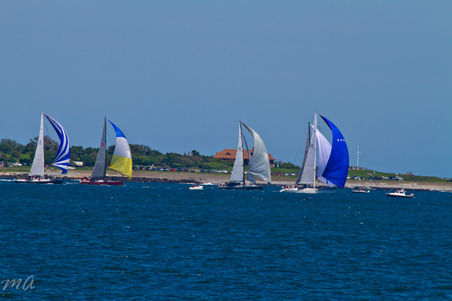 Enlarge photo 325