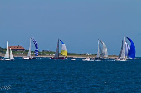 Enlarge photo 326