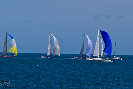Enlarge photo 330