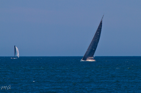 Enlarge photo 331