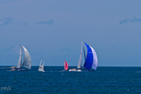 Enlarge photo 332