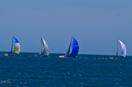 Enlarge photo 333
