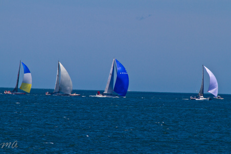 Enlarge photo 334