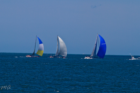 Enlarge photo 335