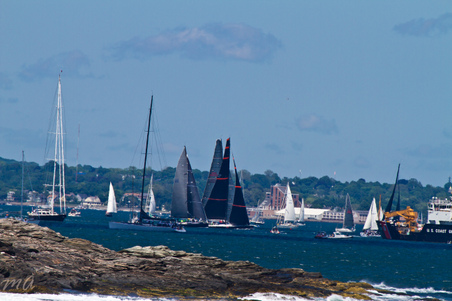 Enlarge photo 337