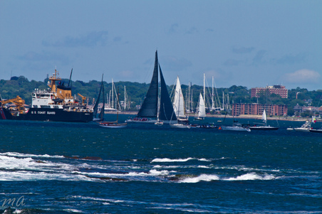 Enlarge photo 338