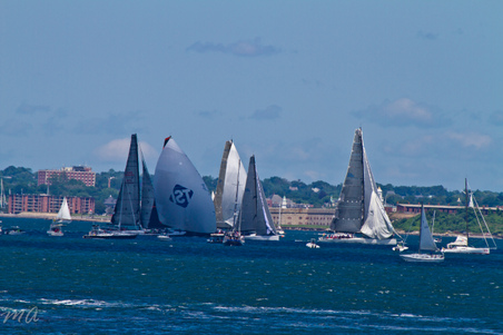 Enlarge photo 339