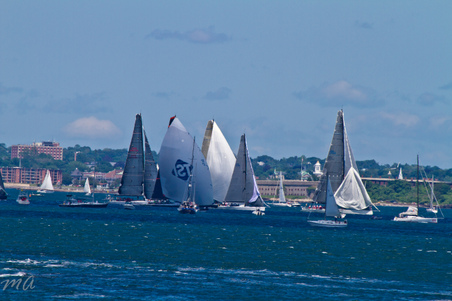 Enlarge photo 340